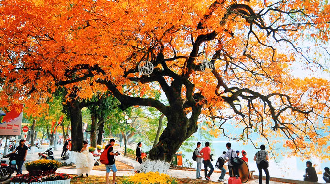 Hanoi et Ho Chi Minh-Ville, deux destinations à prix raisonnable ảnh 1