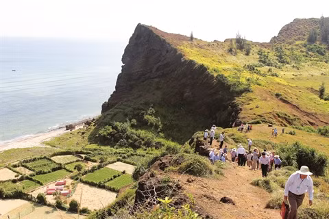 Ly Son, excursion au cœur du royaume de l’ail ảnh 1 Ly Son, excursion au cœur du royaume de l’ail ảnh 1
