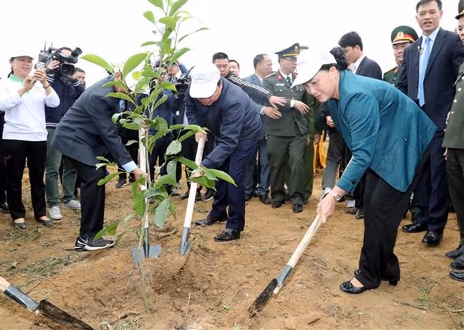Têt de la plantation d’arbres : belle coutume de célébration de l’arrivée du printemps ảnh 2