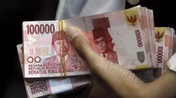 L’Indonésie sera le premier pays asiatique à vendre des obligations vertes ảnh 1 L’Indonésie sera le premier pays asiatique à vendre des obligations vertes ảnh 1