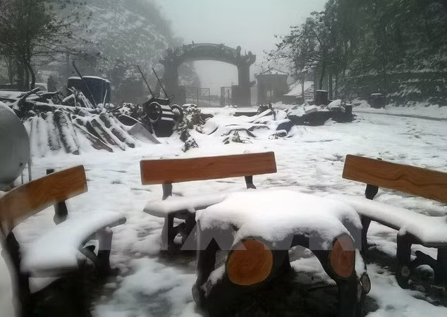 Au Nord, le bourg de Sa Pa se pare de son manteau blanc ảnh 1