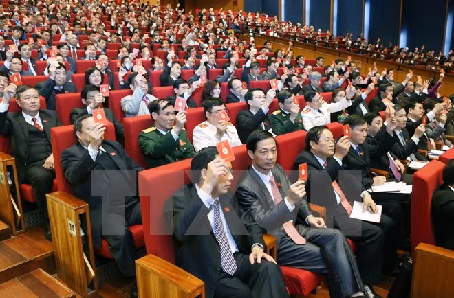 Les Vietnamiens en Algérie et en R. tchèque saluent le congrès du Parti ảnh 1