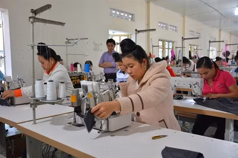 Chômeurs à 35 ans : la tragédie paradoxale des ouvriers vietnamiens ảnh 2