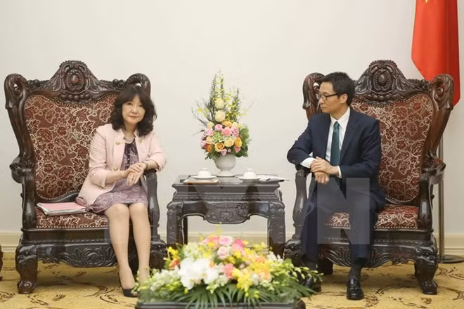 La coopération multisectorielle entre le Vietnam et le Japon s'épanouit ảnh 1
