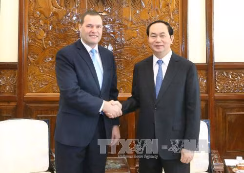 Pour dynamiser les relations de coopération traditionnelle Vietnam-R. tchèque ảnh 1