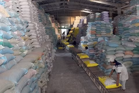 Les Philippines décident d’importer davantage de riz vietnamien ảnh 1