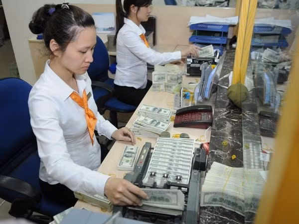 12,25 milliards de dollars de devises transférées au Vietnam en 2015 ảnh 1