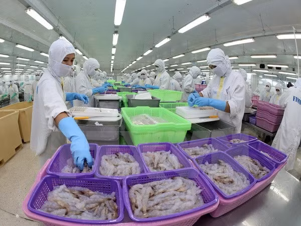 Bac Lieu vise 785 millions de dollars d'exportations en 2016 ảnh 1