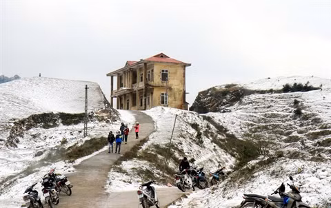 Froid et neige s’invitent sous les tropiques ảnh 1