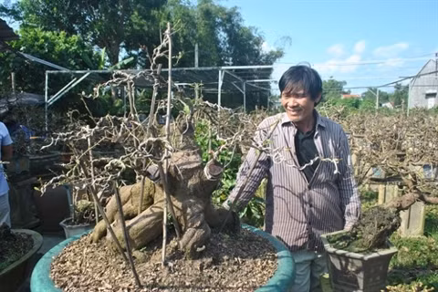 La saison commence au village d’abricotiers de Nhon An ảnh 2