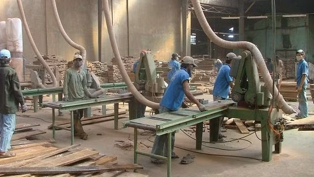 La sylviculture table sur 7,1 milliards de dollars d’exportations en 2016 ảnh 1