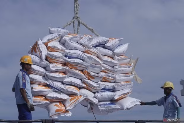 L'Indonésie signe un protocole d'accord sur l'importation d’un million de tonnes de riz d'Inde ảnh 1