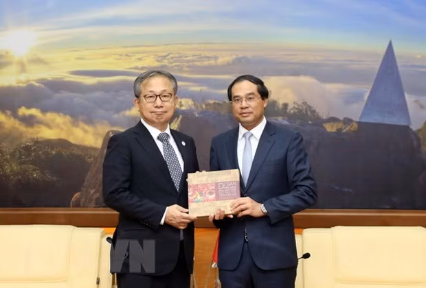 Lao Cai veut promouvoir davantage sa coopération avec les partenaires japonais ảnh 1