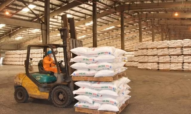 Les exportations d'engrais diminuent à la fois en volume et en valeur ảnh 1