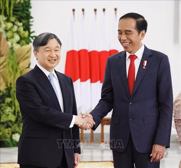 L'Indonésie et le Japon renforcent leur amitié ảnh 1