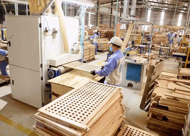 L'indice de la production industrielle de Binh Phuoc en hausse de 6,5% en cinq mois ảnh 2