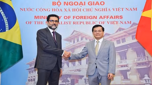 Approfondir le partenariat intégral Vietnam-Brésil ảnh 1
