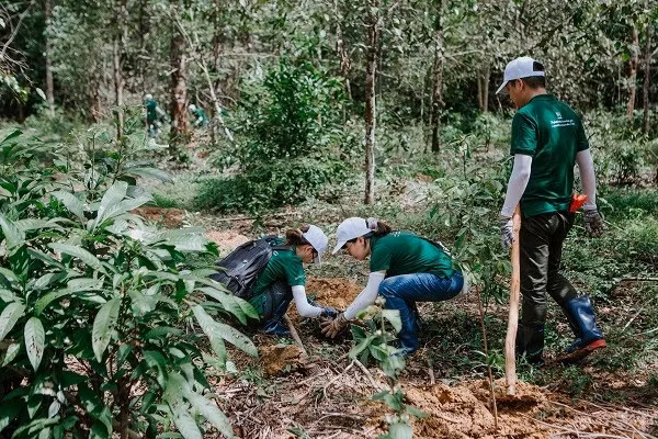 Nestlé collabore avec des partenaires pour développer l'agriculture régénérative au Vietnam ảnh 1
