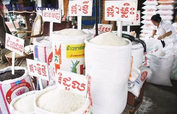 Cambodge : baisse des exportations de riz en neuf mois ảnh 1