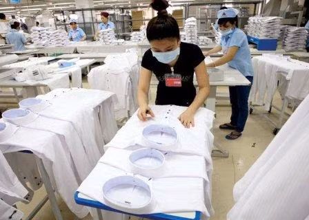 Bond des exportations en République de Corée en 2015 ảnh 1