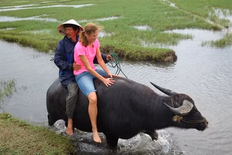 Hôi An autrement avec Asia Pacific Travel ảnh 2 Hôi An autrement avec Asia Pacific Travel ảnh 2