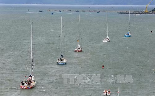 La Clipper Race 2015-2016 quitte le Vietnam ảnh 1