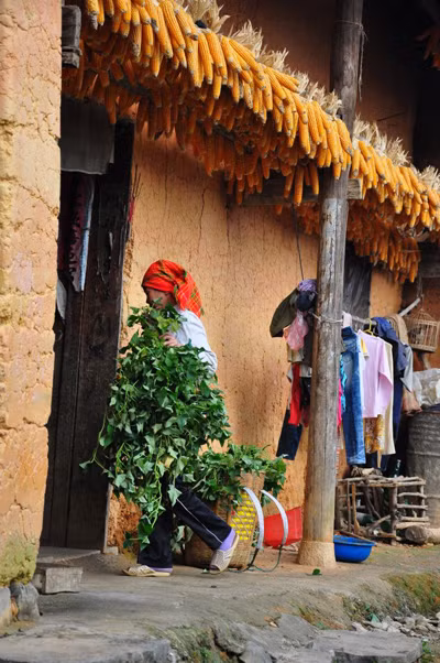 Pho Bang – le lieu où le temps s’arrête ảnh 2