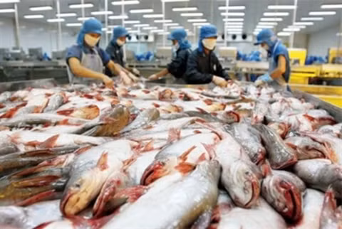 Les marchés principaux du Vietnam en 2015 ảnh 2 Les marchés principaux du Vietnam en 2015 ảnh 2