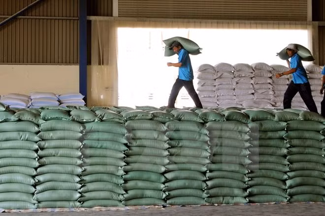 Bond des exportations nationales de riz en janvier ảnh 1 Bond des exportations nationales de riz en janvier ảnh 1
