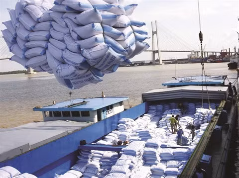 Les exportateurs vietnamiens sont prêts pour l’EVFTA ảnh 1