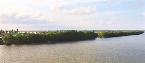 Thai Binh: l’îlot Côn Vành, un petit bout de nature sauvage ảnh 1