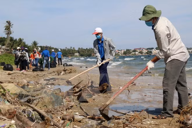 ​Coup d'envoi du programme "Dimanche vert" et "Nettoyons la mer" à Binh Thuan ảnh 1