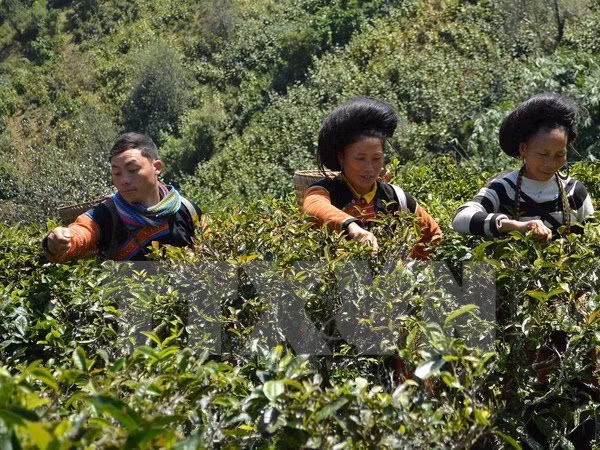 Renforcement de la compétence de gestion du secteur de la microfinance ảnh 1 Renforcement de la compétence de gestion du secteur de la microfinance ảnh 1