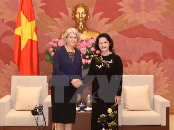 La présidente de l’Assemblée nationale reçoit les ambassadrices du Danemark et de Suède ảnh 1