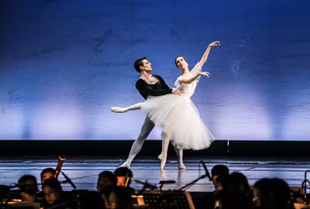 Paris Ballet au Vietnam ảnh 3 Paris Ballet au Vietnam ảnh 3
