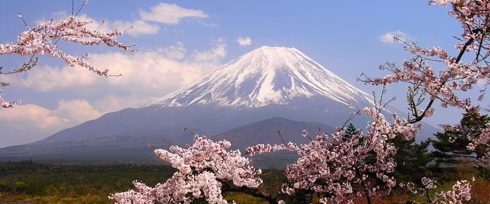 Les Vietnamiens aiment partir en vacances au Japon ảnh 1