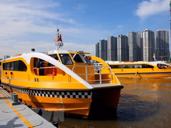 Promouvoir les potentiels du tourisme fluvial de HCM-Ville ảnh 1