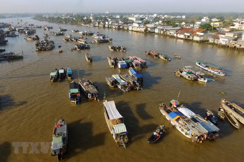Cân Tho : la Fête touristique et culturelle du marché flottant de Cai Rang ảnh 1