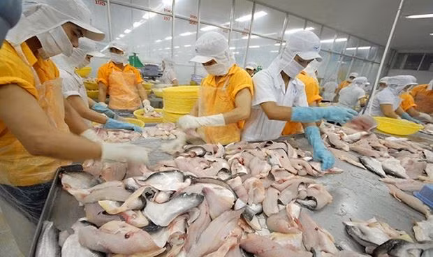 Accélérer les exportations des produits aquatiques vers le Brésil ảnh 1 Accélérer les exportations des produits aquatiques vers le Brésil ảnh 1