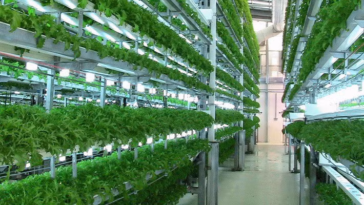 De nombreuses entreprises agricoles technologiquement avancées obtiennent des licences commerciales ảnh 1 De nombreuses entreprises agricoles technologiquement avancées obtiennent des licences commerciales ảnh 1