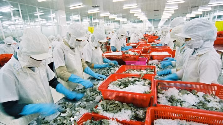 Aquaculture: l’objectif de 10 milliards d’USD d'exportation en 2018 sera difficile à atteindre ảnh 1