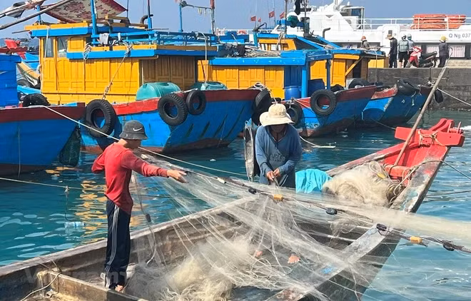 Binh Thuân déterminée à ne laisser aucun navire de pêche violer les eaux étrangères ảnh 1 Binh Thuân déterminée à ne laisser aucun navire de pêche violer les eaux étrangères ảnh 1