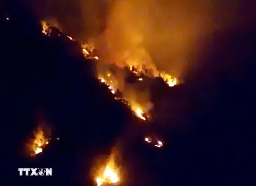 Le PM ordonne de renforcer la prévention et le contrôle des incendies de forêt ảnh 2