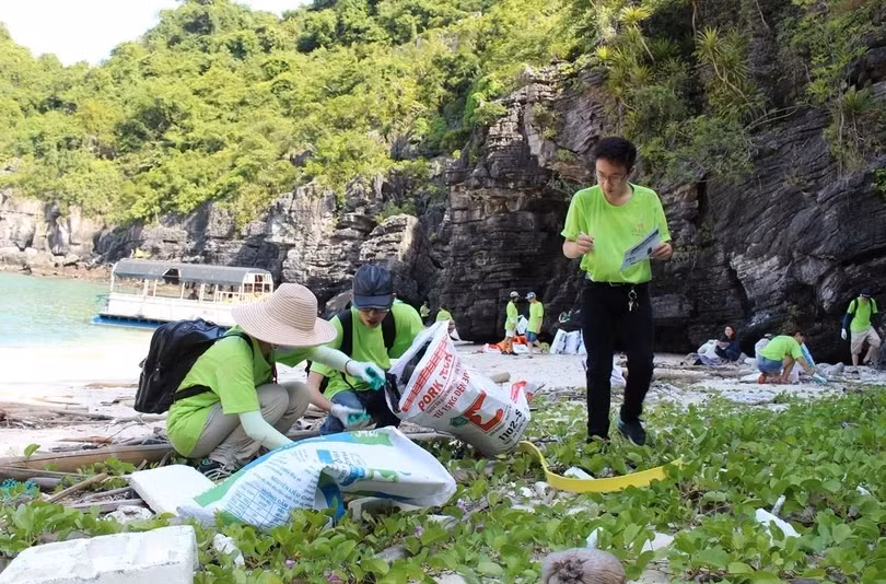 Le PNUE aide à surveiller la pollution plastique au Vietnam ảnh 1
