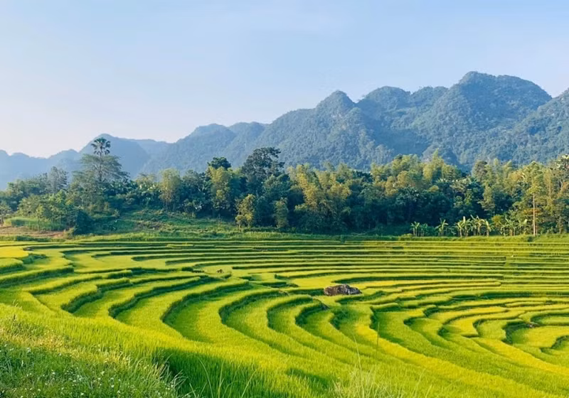 Un charme secret peut en cacher un autre au Vietnam ảnh 4