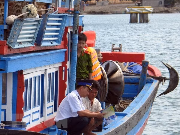 Redoubler d'efforts pour lutter contre la pêche INN vers une pêche durable ảnh 3