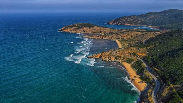 Ninh Thuan profite ses atouts pour développer le tourisme maritime ảnh 1