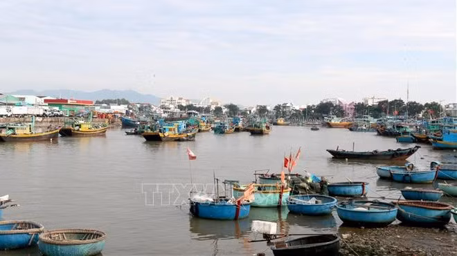 Binh Thuan intensifie les mesures contre la pêche INN ​ ảnh 1