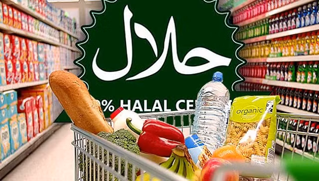 Un séminaire sur le développement de l'industrie Halal au Vietnam ảnh 1