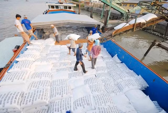 Les exportations de riz atteignent un niveau record depuis 1989 ảnh 2